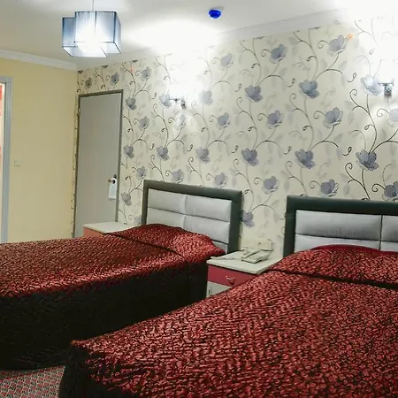 Elit Hotel 3*